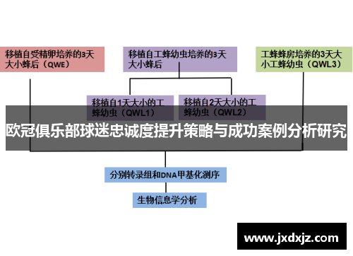 欧冠俱乐部球迷忠诚度提升策略与成功案例分析研究